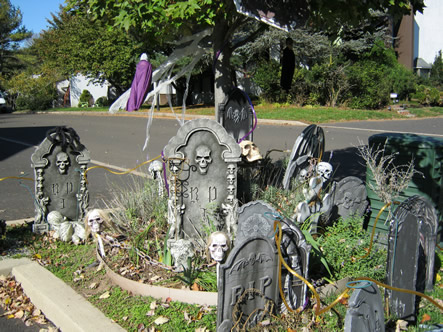 Fall and Arizona 053