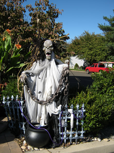 Fall and Arizona 054