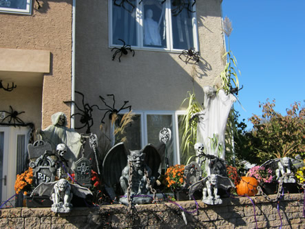 Fall and Arizona 058