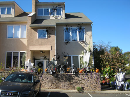 Fall and Arizona 059