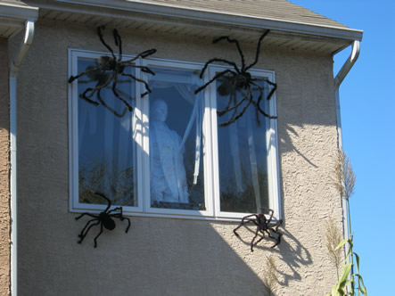 Fall and Arizona 062