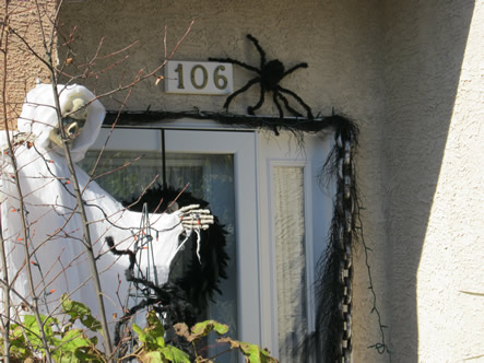 Fall and Arizona 063