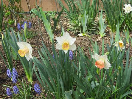 March - May 2012 003