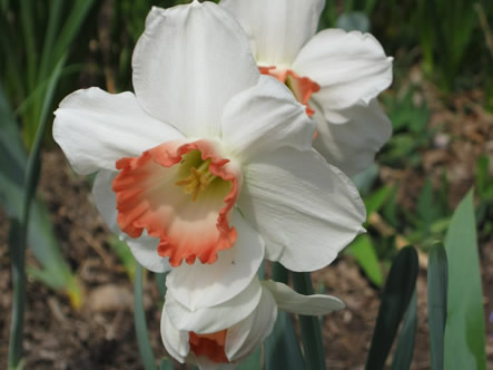 March - May 2012 005