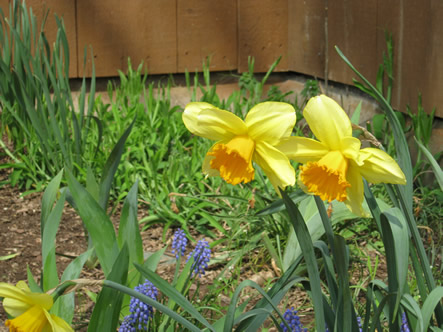 March - May 2012 009