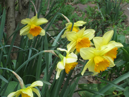 March - May 2012 014