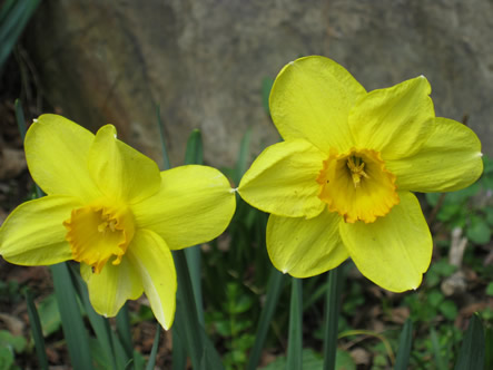 March - May 2012 015