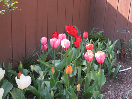 March - May 2012 036