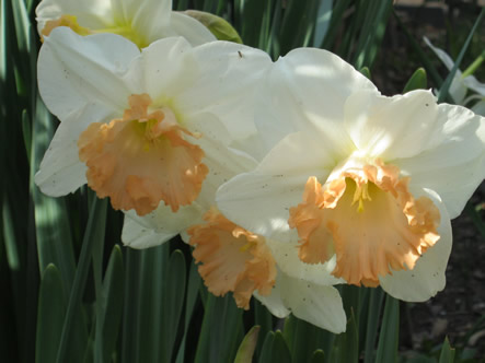 March - May 2012 042