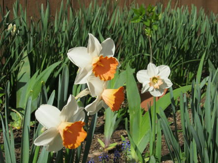 March - May 2012 043