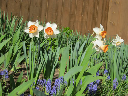 March - May 2012 044