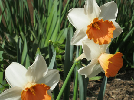 March - May 2012 047