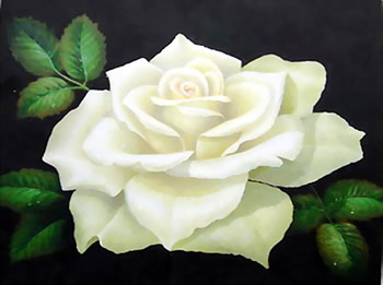 white rose