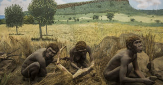 getting dinner ready