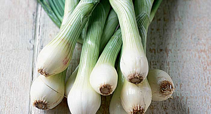 spring onions