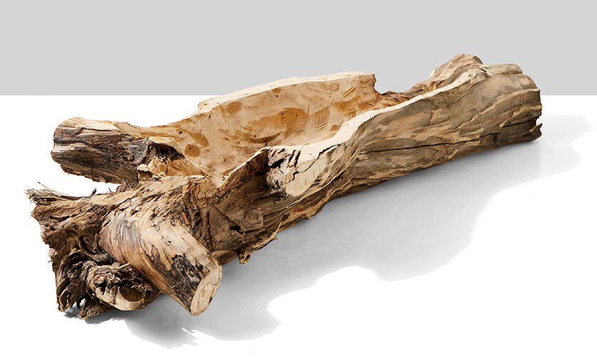 wood-trunk-bowl