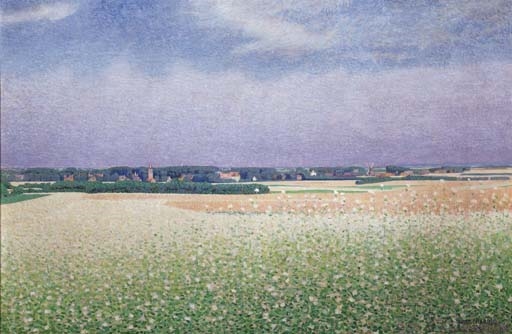 boekweitveld te laren